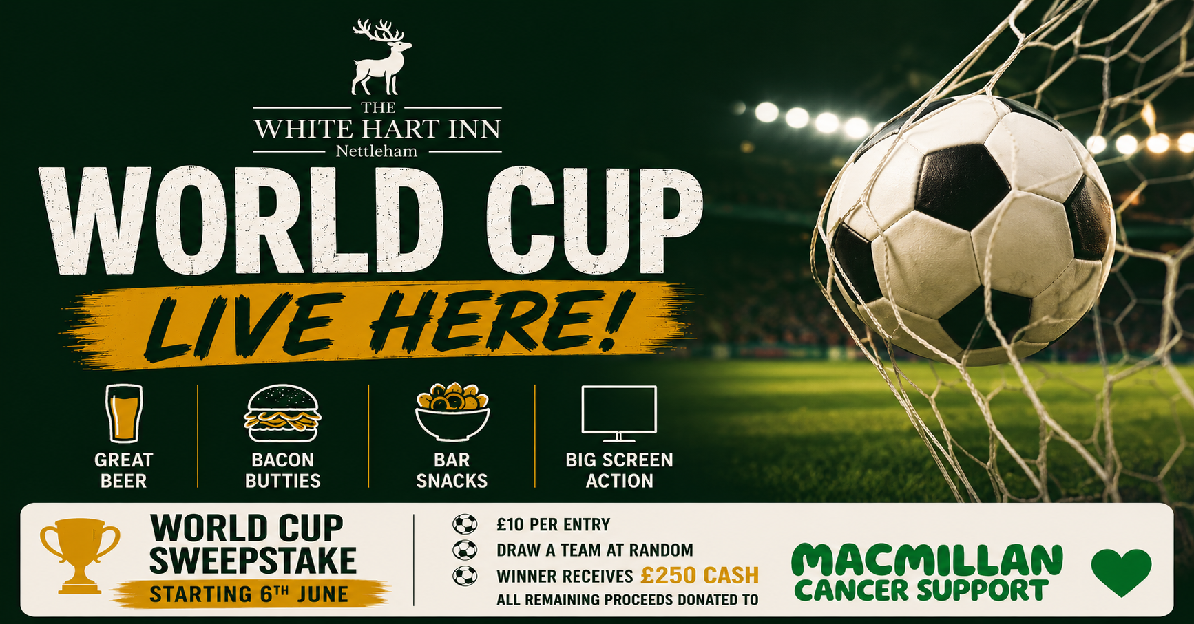 World Cup Football